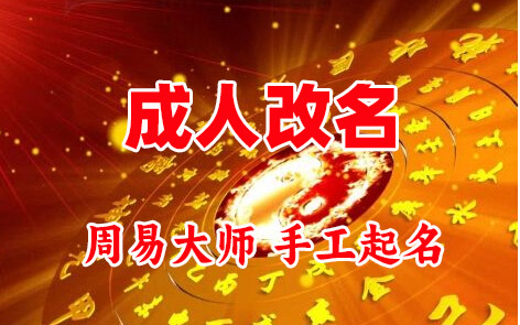 金台成人改名-找大师一对一改名先分析后改名